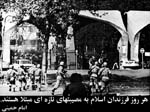image (15)